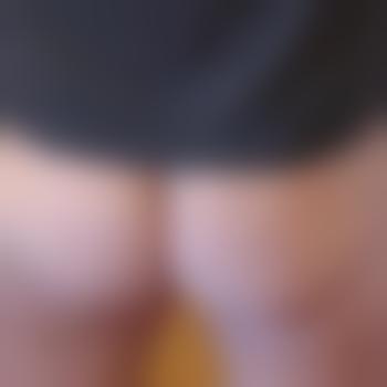 BertiBi