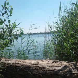 Süße See