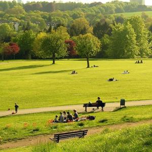 Lohrberg (Frankfurt-Seckbach/Bergen-Enkheim)