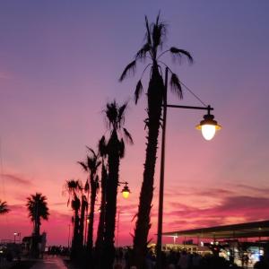 Big dick ab 18 cm aus Mannheim 