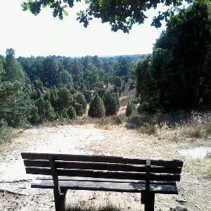 Borstel, super Weitsicht und alte Bäume, seh ruhig