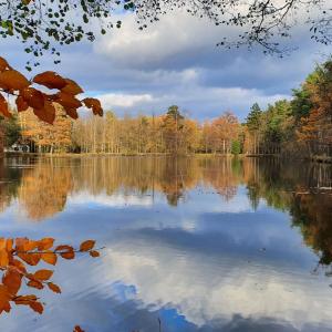 Hutbergteich / Engelei Dürrhennersdorf