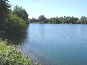 See in Nethen