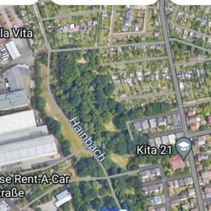 Grünstreifen hinter der Stadthalle