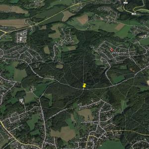 Zwischen Voiswinkel und Schildgen im Wald