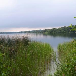 Apeler See