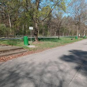 Waldstück Wolfgang-Kahl B8