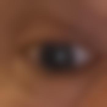Auratus