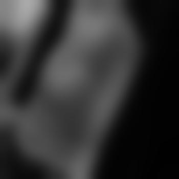 shoq1990