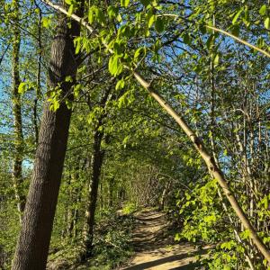 Parkplatz Dortmund-Eichlinghofen