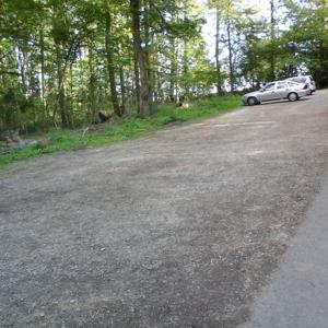 Waldparkplatz bei Eislingen