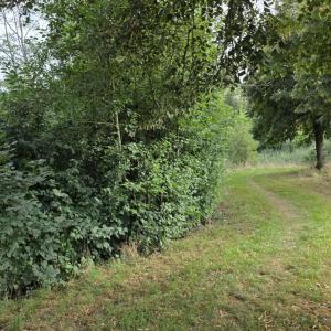 Wittingen kleiner Teich hinter dem Freibad