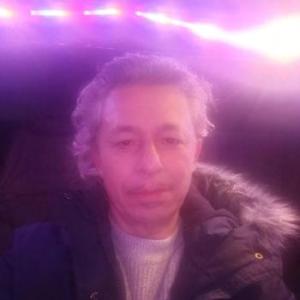 d_geile_hengst