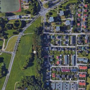 Waldstück Evershagen