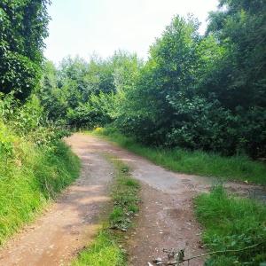 Alter Tennisplatz Voslap