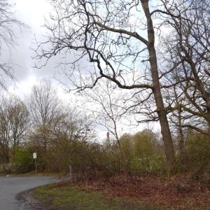 Fernsehturm Osnabrück Belm. Bitte stand Licht anla