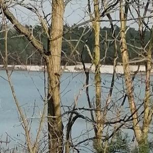 Baggersee,Hennersdorf