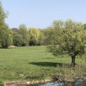Lippe
