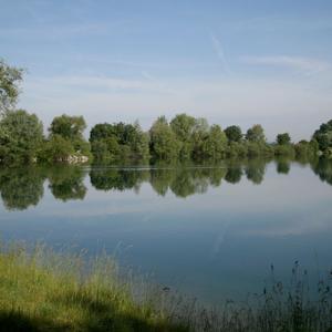 Kronthaler Weiher