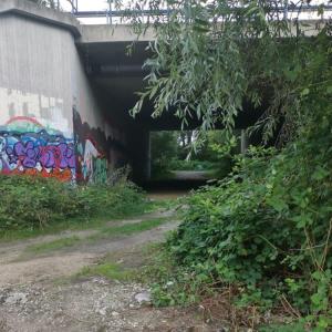A57 GEISMÜHLE