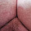 liebeslurch