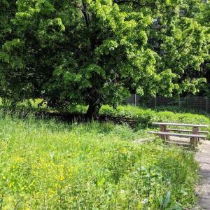 A81 Parkplatz Grafenwald