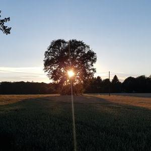 Forstenrieder Park Eingang Solln