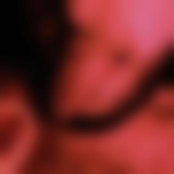 LickfanPL