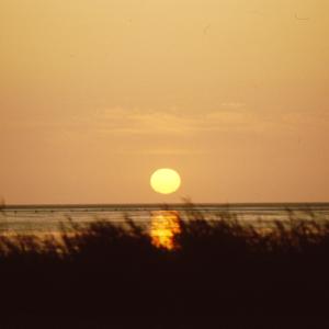 FKK-Gelände Cappel Neufeld