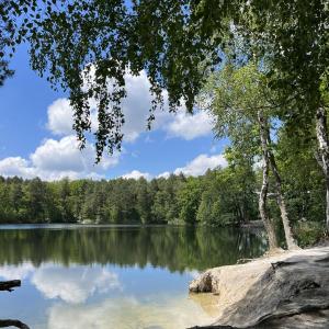 Blaues Auge Bad Schmiedeberg