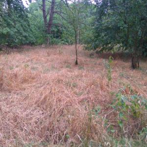 Wanderparkplatz Bockholter Berge