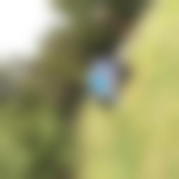 bigcock21x5