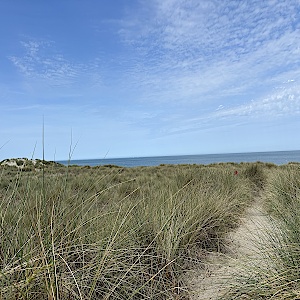Naaktstrand Neeltje Jans