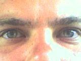 23cm_Hengst