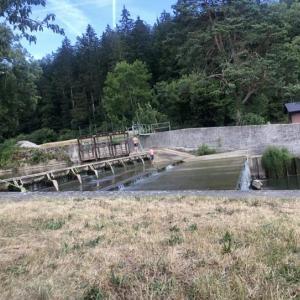 Hallauer Wehr