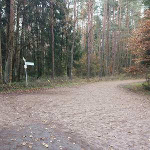 Nähe Kalchreuth Waldparkplatz