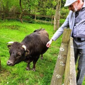 Überdruckbeseitiger