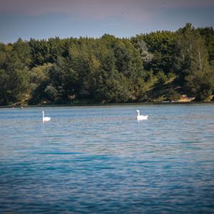 Kulkwitzer See