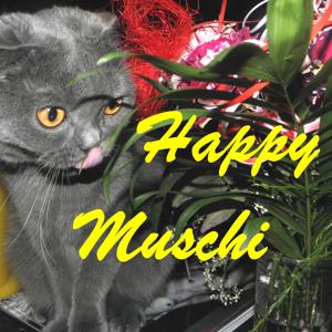Happy Erotic