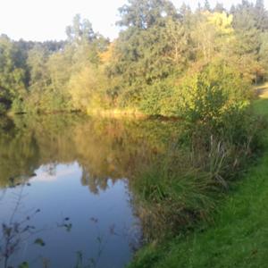 Bochingen Waldparkplatz