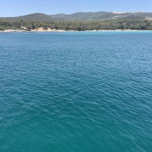 Türkische Community