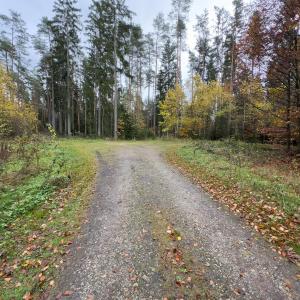 Parkplatz hinterm Happy-Rock