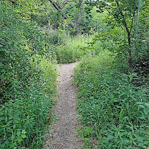 See am Maiwald Kreisel