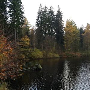 PP Neuer Teich zwischen Uslar und Dassel
