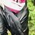trannylover81