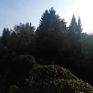 Waldschenke resserstr. 50