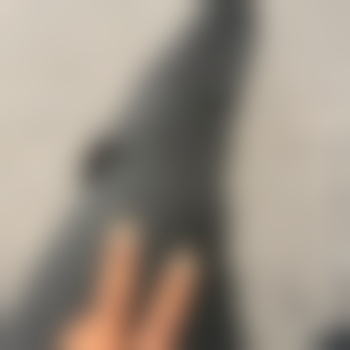 Travis26