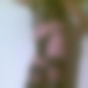 DWT-Sex-Schlampe