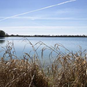 PullingerSee