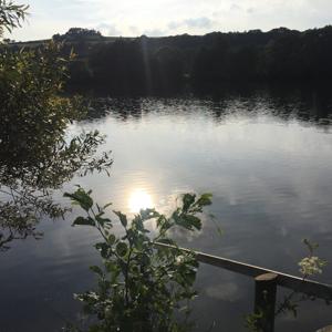 Pfordtersee